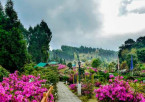 Darjeeling Sightseeing
