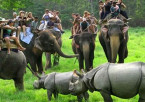 Kaziranga Jungle Safari & Wildlife Exploration