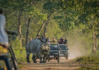 Dawki River & Transfer to Kaziranga National Park