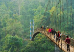 Cherrapunji Sightseeing & Natural Wonders
