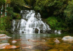 Shillong Sightseeing & Transfer to Cherrapunji
