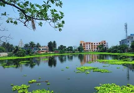 Haldia Taxi Service